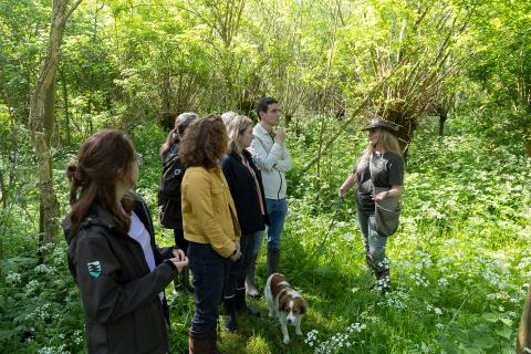 excursie eendenkooi